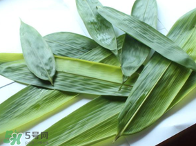 如何挑選粽葉？粽子葉怎么選？