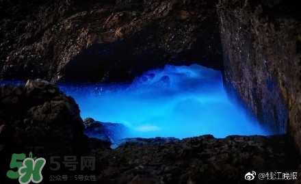 浙江多地驚現(xiàn)藍(lán)眼淚現(xiàn)象 藍(lán)眼淚是什么？