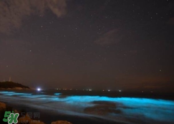 浙江多地驚現(xiàn)藍(lán)眼淚現(xiàn)象 藍(lán)眼淚是什么？