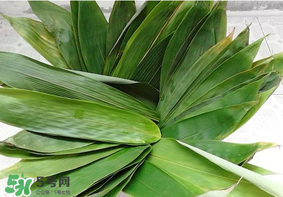 粽子葉怎么煮？煮粽葉的步驟