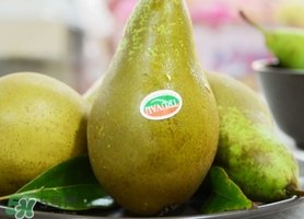 比利時(shí)啤梨要削皮嗎？比利時(shí)啤梨怎么放軟