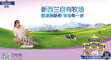 安滿滿睿幼兒配方奶粉怎么樣？安滿滿睿奶粉怎么沖？