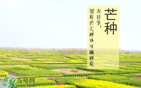 芒種是幾月幾日芒種是什么意思 芒種是幾月幾日芒種是什么意思