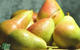 紅啤梨多少錢一斤 紅啤梨和青啤梨的區(qū)別 紅啤梨多少錢一斤 紅啤梨和青啤梨的區(qū)別