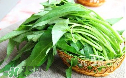 空心菜有毒嗎？空心菜需要焯水嗎？