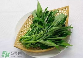 空心菜能和雞蛋一起吃嗎？雞蛋可以和空心菜一起吃嗎