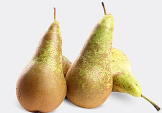  比利時啤梨怎么吃？比利時啤梨怎么是軟的？