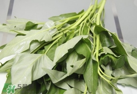 空心菜可以生吃嗎？空心菜能生吃嗎