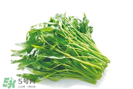 空心菜有毒嗎？空心菜需要焯水嗎？