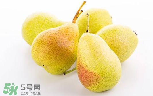 紅啤梨多少錢一斤 紅啤梨和青啤梨的區(qū)別 紅啤梨多少錢一斤 紅啤梨和青啤梨的區(qū)別