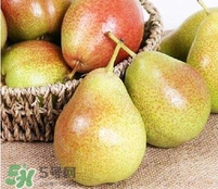 啤梨可以放冰箱放軟嗎？啤梨怎么保存時(shí)間久