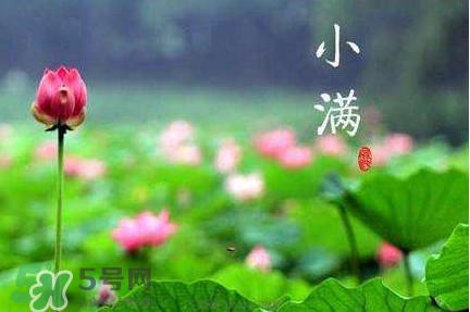 節(jié)氣小滿大滿是什么意思？24節(jié)氣為什么沒有大滿