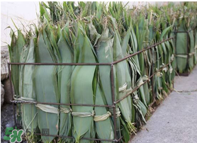 新鮮粽葉怎么處理？新鮮粽子葉怎樣處理？