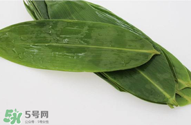 新鮮粽葉怎么處理？新鮮粽子葉怎樣處理？