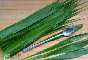 粽葉是蘆葦葉嗎？粽葉和蘆葦葉的區(qū)別