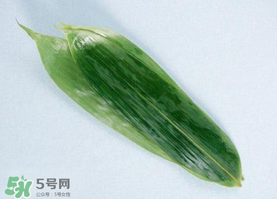 箬葉可以包粽子嗎？箬葉怎么包粽子？
