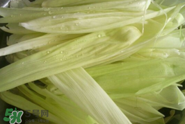 玉米葉可以包粽子嗎？包棕子用玉米葉可以嗎?