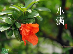 ?小滿可以回娘家嗎？?小滿能回娘家嗎？