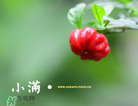 ?小滿可以回娘家嗎？?小滿能回娘家嗎？