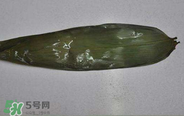 粽葉怎么曬干？粽葉怎么曬干不卷？