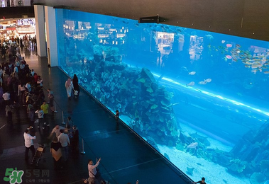 2017迪拜購物攻略 迪拜阿聯(lián)酋買什么便宜？