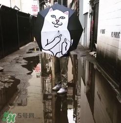 ripndip是什么牌子？ripndip是什么檔次？