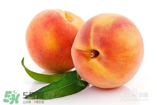 桃子的種類有哪些？哪種桃子最好吃？