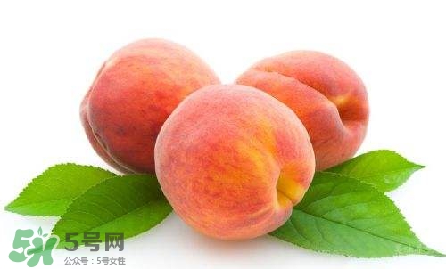 桃子的種類有哪些？哪種桃子最好吃？