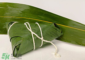 新鮮粽葉怎么處理？新鮮粽子葉怎樣處理？