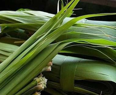 新鮮粽葉怎么處理？新鮮粽子葉怎樣處理？