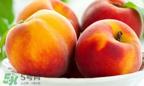 桃子的種類有哪些？哪種桃子最好吃？