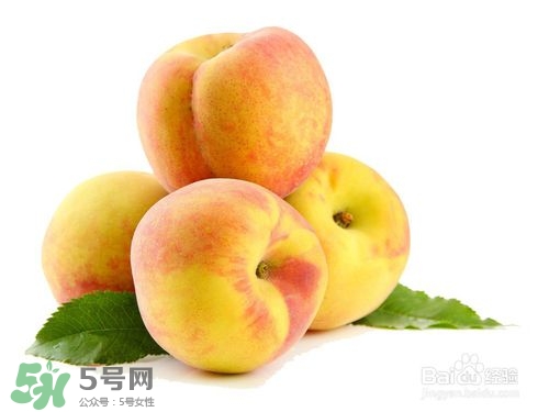 桃子的種類有哪些？哪種桃子最好吃？