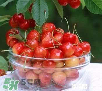 櫻桃是熱性還是涼性？櫻桃能多吃嗎？