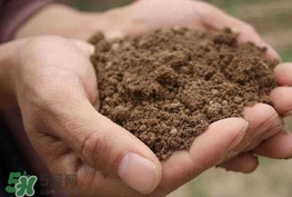 女子30年吃1噸土 異食癖是缺什么？