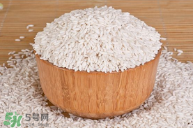 江米泡多久才可以包粽子？江米包粽子跑多長時間？