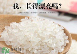 大米可以包粽子嗎？包粽子大米要泡多久？