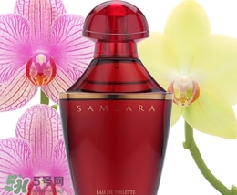 嬌蘭samsara圣莎拉香水怎么樣？嬌蘭samsara輪回香水香評