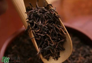 普洱茶能不能天天喝？天天喝普洱茶好嗎？