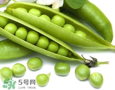 豌豆怎么保存?豌豆的保存方法 豌豆怎么保存?豌豆的保存方法