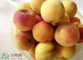 黃桃是杏子嗎？黃桃和杏子的區(qū)別