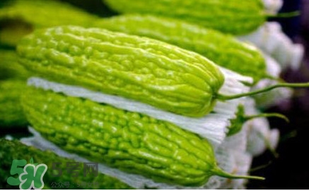 苦瓜可以生吃嗎？生吃苦瓜可以減肥嗎？