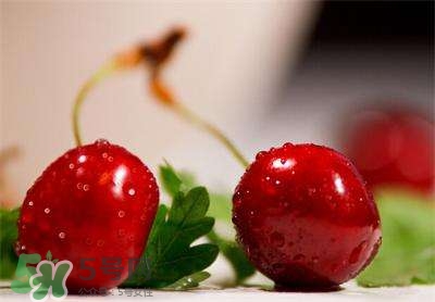 櫻桃和車?yán)遄佑惺裁磪^(qū)別？櫻桃和車?yán)遄幽膫€(gè)貴？