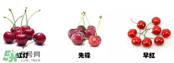 櫻桃和車?yán)遄佑惺裁磪^(qū)別？櫻桃和車?yán)遄幽膫€(gè)貴？