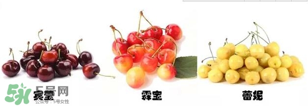 櫻桃和車?yán)遄佑惺裁磪^(qū)別？櫻桃和車?yán)遄幽膫€(gè)貴？