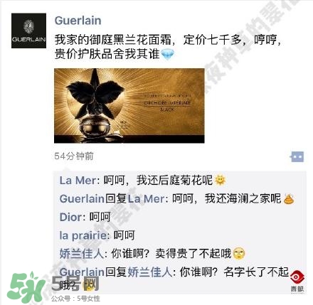 嬌蘭和嬌蘭佳人一樣嗎？嬌蘭和嬌蘭佳人什么聯(lián)系？