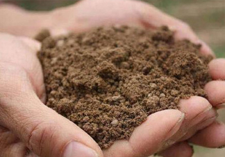 異食癖是什么??？異食癖怎么治