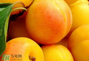 黃桃是什么季節(jié)的？黃桃是轉基因的嗎