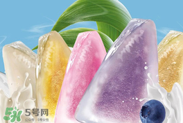 元祖冰淇淋粽子多少錢？元祖冰淇淋粽子多少錢2017？