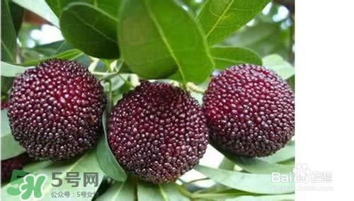 楊梅怎么吃好吃？楊梅怎么吃不酸？