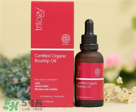 Trilogy玫瑰果油多少錢?Trilogy玫瑰果油價(jià)格 Trilogy玫瑰果油多少錢?Trilogy玫瑰果油價(jià)格